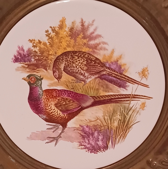 Vintage Pair of Brass and Ceramic Wall Plates Duck and Grouse Ceramic Centers - Picture 6 of 7